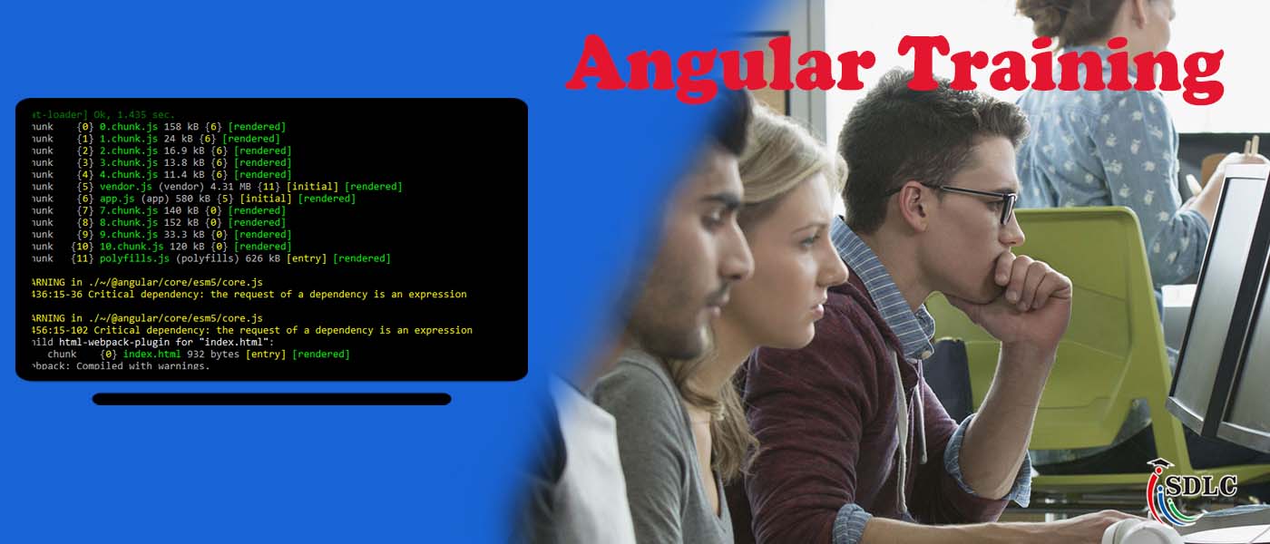 Angular Training Course