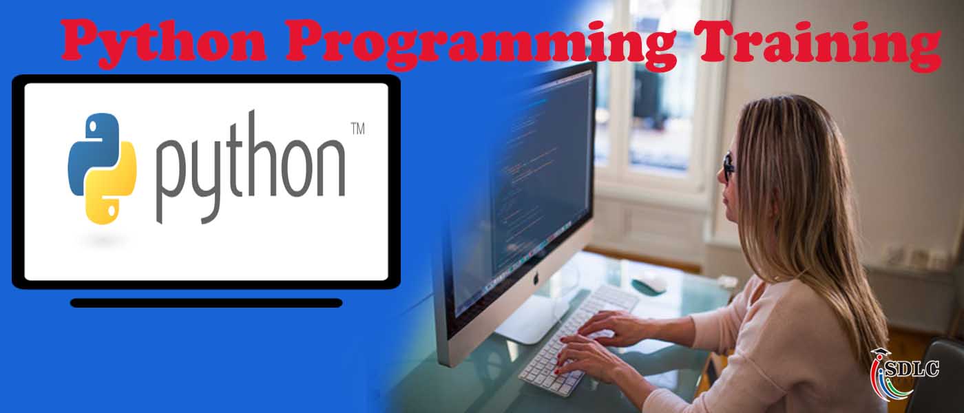 Python Programming Training