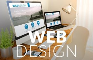 Website design Training